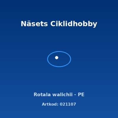 Rotala walichii - PE