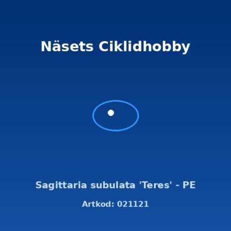 prod-021121 prod-021121