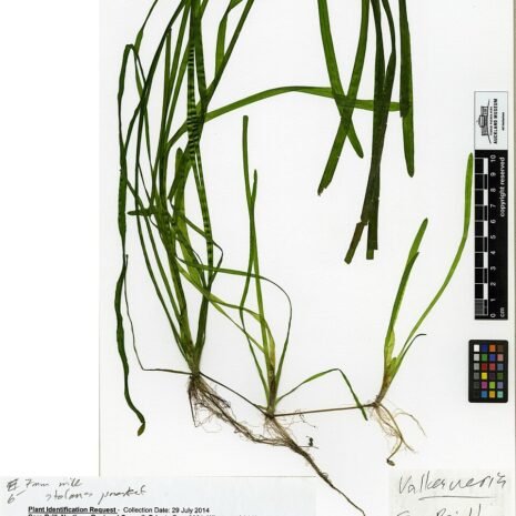 prod-021206