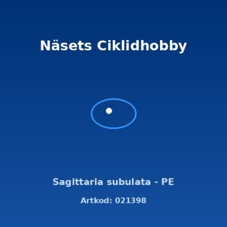 prod-021398 prod-021398
