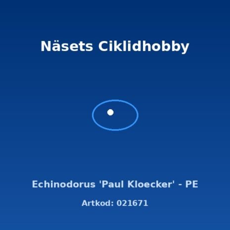 prod-021671 Echinodorus 'Paul Kloecker' - PE