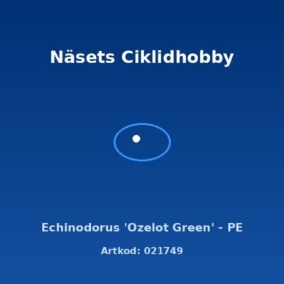 Echinodorus 'Ozelot Green' - PE