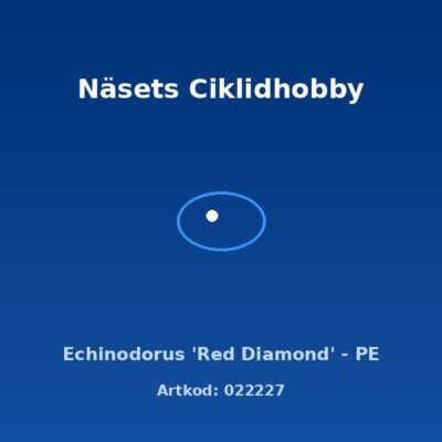 Echinodorus 'Red Diamond' - PE