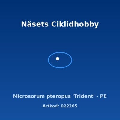 Microsorum pteropus 'Trident' - PE