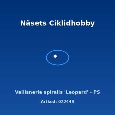 Vallisneria spiralis 'Leopard' - PS