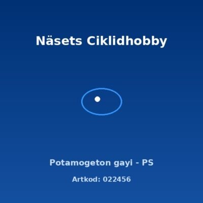 Potamogeton gayi - PS