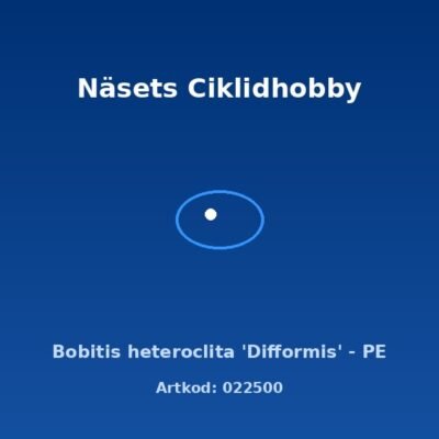 Bobitis heteroclita 'Difformis' - PE