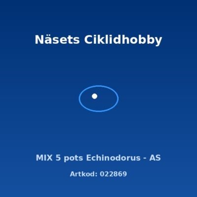 MIX 5 pots Echinodorus - AS