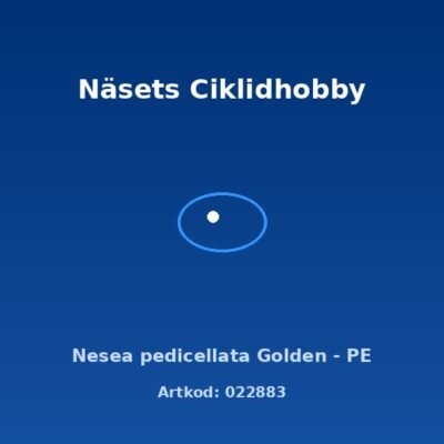 Nesea pedicellata Golden - PE