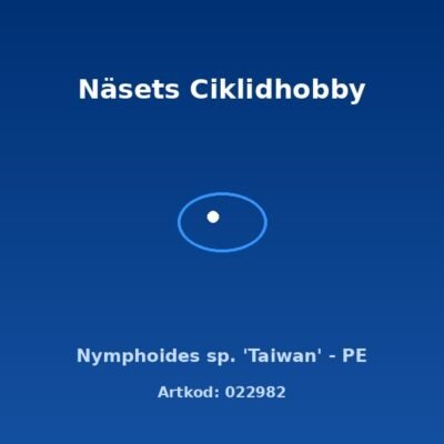 Nymphoides sp. 'Taiwan' - PE