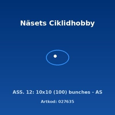 ASS. 12: 10x10 (100) bunches - AS