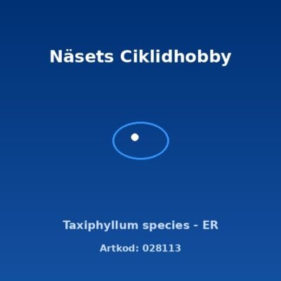 Taxiphyllum species - ER