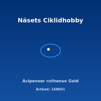 Acipenser ruthenus Gold