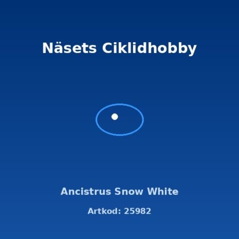 prod-25982 prod-25982