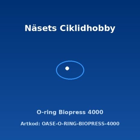 prod-OASE-O-RING-BIOPRESS-4000 prod-OASE-O-RING-BIOPRESS-4000