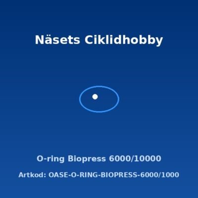O-ring Biopress 6000/10000