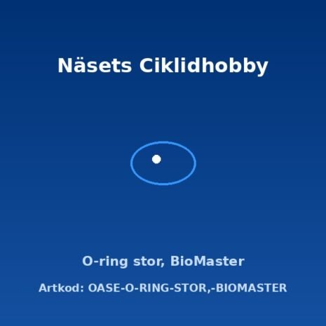 prod-OASE-O-RING-STOR-BIOMASTER prod-OASE-O-RING-STOR-BIOMASTER
