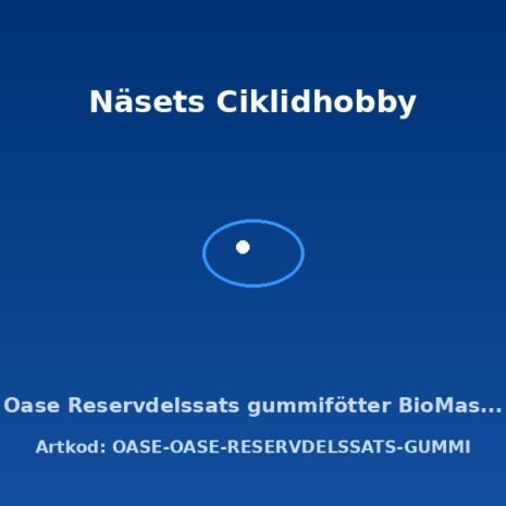 prod-OASE-OASE-RESERVDELSSATS-GUMMI