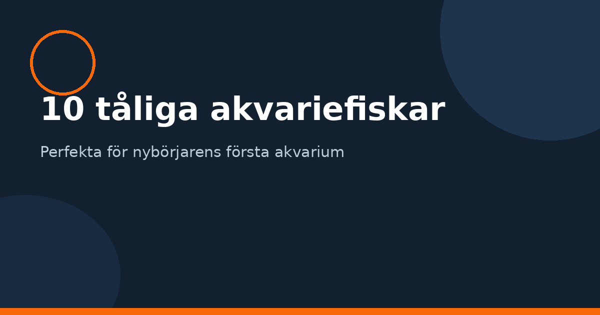 10 tåliga akvariefiskar för nybörjare