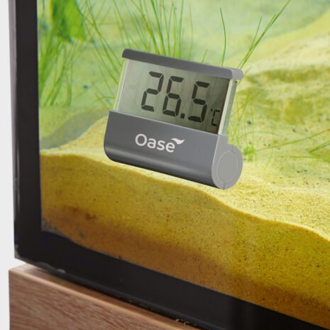 Digital thermometer Digital thermometer