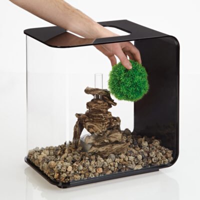 biOrb Aquatic topiary ball set 3 green