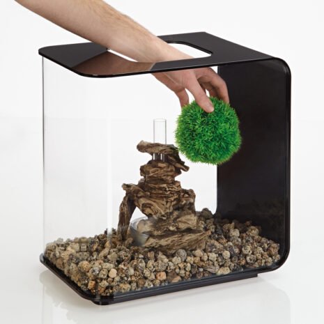 biOrb Aquatic topiary ball set 3 green