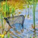 Pond net foldable