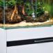 ScaperLine 60 blank bar CO2 outlet black
