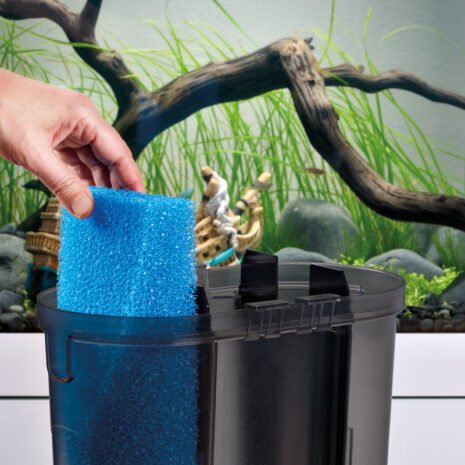 EDEN FET 300 External filter