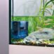 EDEN FIN 50 Internal filter
