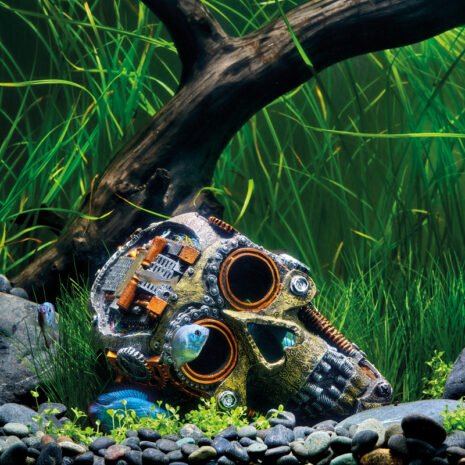 EDEN Steampunk Skull EDEN Steampunk Skull