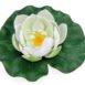 Pontec PondoLily display colour assorted