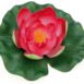 Pontec PondoLily display colour assorted