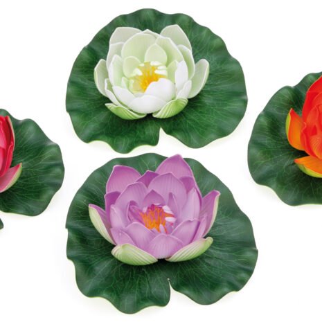 Pontec PondoLily display colour assorted Pontec PondoLily display colour assorted