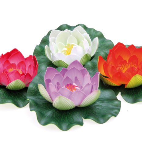 Pontec PondoLily display colour assorted Pontec PondoLily display colour assorted