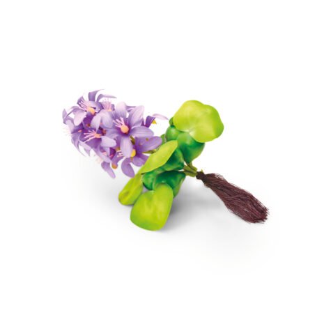 Pontec PondoHyacinth Blooming Pontec PondoHyacinth Blooming