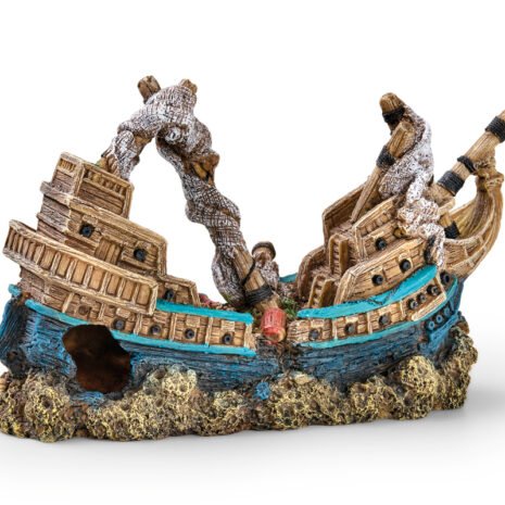 EDEN sunken Ship