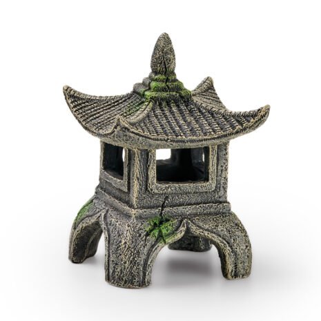 EDEN Asia Set EDEN Asia Set