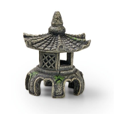 EDEN Asia Temple W EDEN Asia Temple W