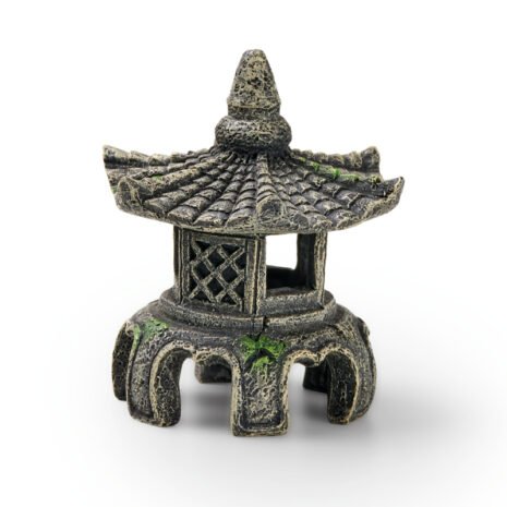 EDEN Asia Temple W EDEN Asia Temple W
