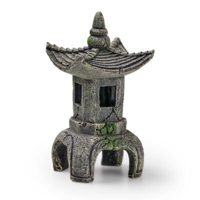 EDEN Asia Temple T EDEN Asia Temple T