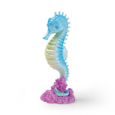 EDEN Seahorse