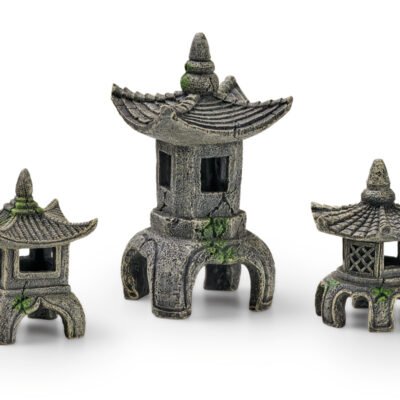 EDEN Asia Set