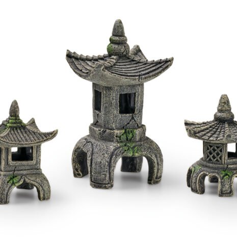 EDEN Asia Set