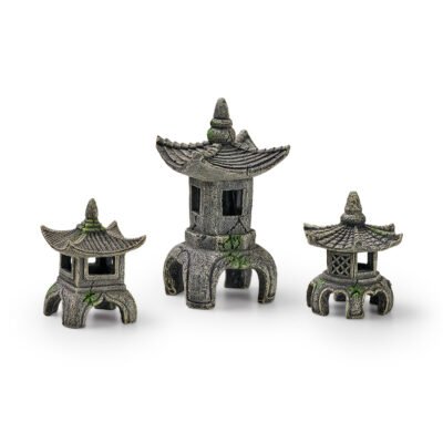 EDEN Asia Set EDEN Asia Set