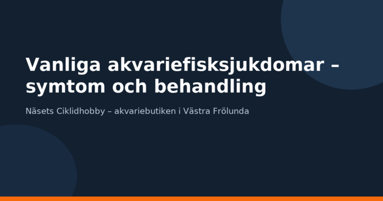 Vanliga akvariefisksjukdomar – symtom och behandling