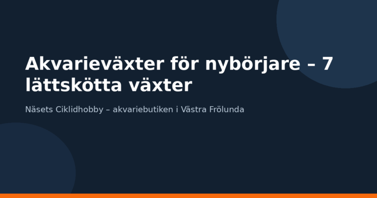Akvarieväxter för nybörjare – 7 lättskötta växter