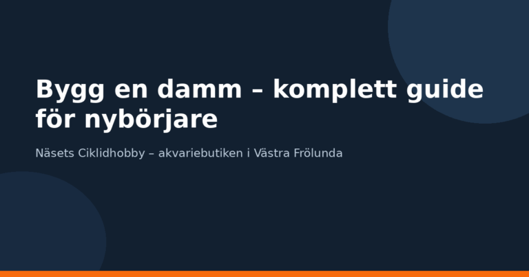 Bygg en damm – komplett guide för nybörjare