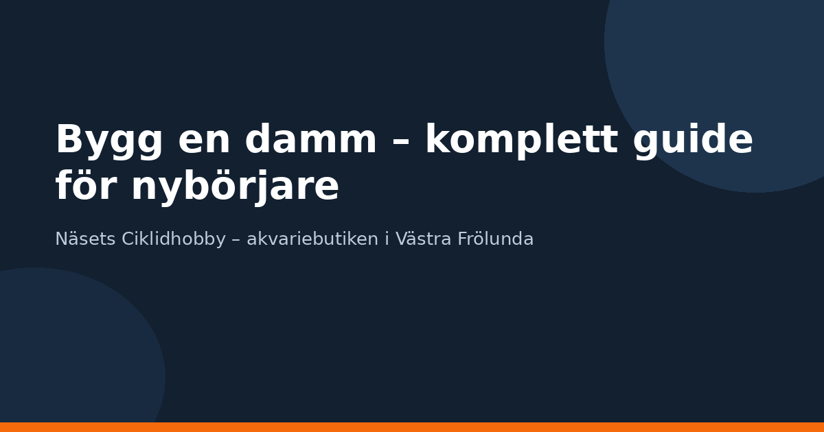 Bygg en damm – komplett guide för nybörjare