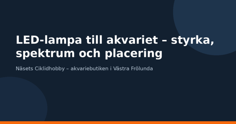 LED-lampa till akvariet – styrka, spektrum och placering